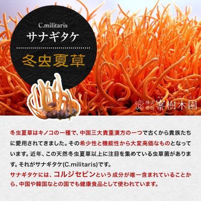 ふるさと納税 合志市 【毎月定期便】【峯王】冬虫夏草(24.6g(205mg×120粒))全12回 |  | 01