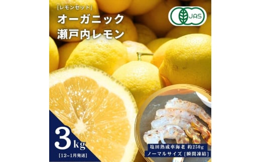 オーガニック瀬戸内レモン 3kg(12~1月発送) / 塩田熟成活車海老 ノーマルサイズ 250g(瞬間凍結) オーガニック 有機レモン 有機JAS 果汁100% レモン えび エビ エビフライ 晩酌 国産 瀬戸内 濃厚 甘さ控えめ 免疫力向上 健康 ビタミンC クエン酸 抗酸化 ソーダ 炭酸水