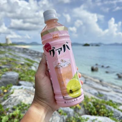 ふるさと納税 本部町 沖縄ボトラーズのグアバジュース 500ml×24本 |  | 03