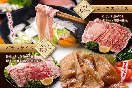 宮崎県産 豚バラエティーセット合計2kg ※入金翌月中に出荷【B690】