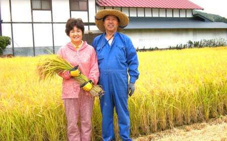 減農薬栽培 ひとめぼれ 無洗米 5kg 定期便 12ヶ月 【714】