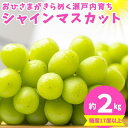 【ふるさと納税】おひさまがきらめく瀬戸内育ち！シャインマスカット 約2kg　【果物類・フルーツ・果物・ぶどう・フルーツ・果物類・ぶどう・マスカット・フルーツ】　お届け：2024年8月下旬～9月下旬