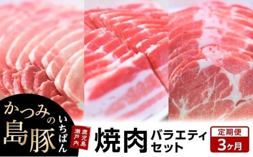 
【定期便3か月】かつみの島豚いちばん焼肉バラエティセット 750g（250g×3パック）
