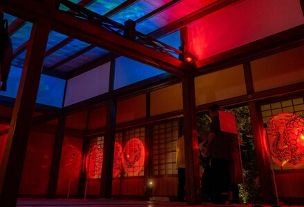博多旧市街ライトアップウォーク2025千年煌夜　エクスプレスパス引換券（11月1日優先入場）1名様分