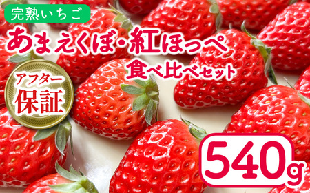 紅ほっぺ あまえくぼ 食べ比べ 540g 苺 いちご いちご いちご いちご いちご いちご