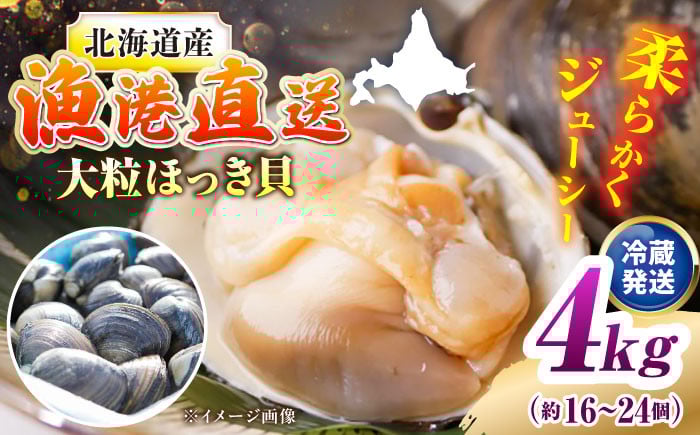 
            7月中旬以降順次発送！厚真町近海で獲れた 活ほっき貝 4kg（約16〜24個）《厚真町》【鵡川漁業協同組合】 ほっき ほっき貝 ホッキ ホッキ貝 北寄貝 海鮮 冷蔵配送 北海道 [AXAL006]
          