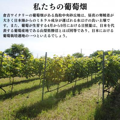 ふるさと納税 倉吉市 倉吉ワイン「はわい」ピオーネ |  | 03