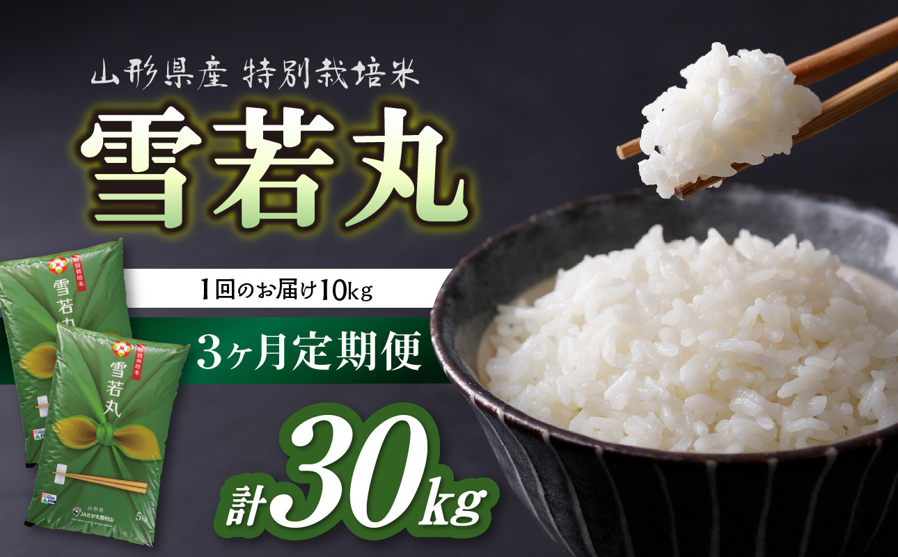 
                  《定期便3ヶ月》特別栽培米 雪若丸 10kg×3回 合計30kg 【山形県産】【2025年度産米】 【001-T41】
                