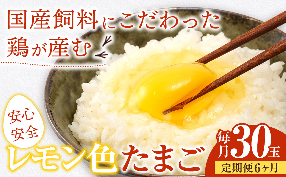 【定期便6か月】国産飼料にこだわった鶏が産む安全安心の 『レモン色たまご』30個（25個＋割れ保証5個）