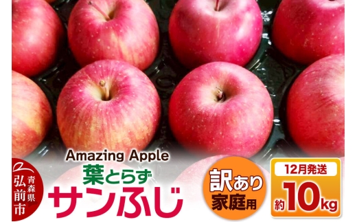 【26年12月発送】りんご 葉とらずサンふじ【訳あり】家庭用 約10kg [りんご サンふじ 葉とらず ふじ 訳あり 家庭用 10kg アップル おいしい 果実 果物 取ら 赤色 美味 葉っぱ 林檎 青森県 弘前市]