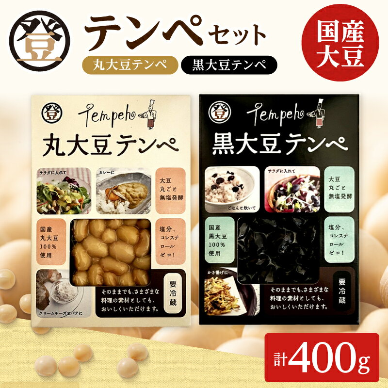 【ふるさと納税】登喜和食品のテンペセット 4箱 高たんぱく 食物繊維 豊富 発酵食品 健康志向 のあなたへ 北海道 清水町 送料無料