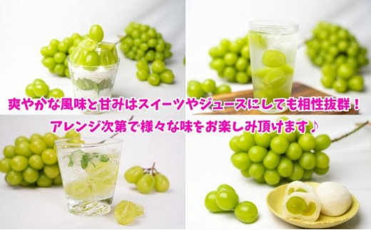 【先行予約】 パリッと甘い！ シャインマスカット 約700g 1房 冷蔵 マスカット ぶどう 葡萄 ブドウ フルーツ 果物 くだもの デザート 果実 美味しい 人気果物 人気フルーツ 旬のフルーツ 旬