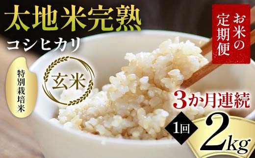お米の定期便 特別栽培米 太地米完熟 【こしひかり】 玄米2kg×3か月連続 ブランド米 お米 人気 F7X-0368