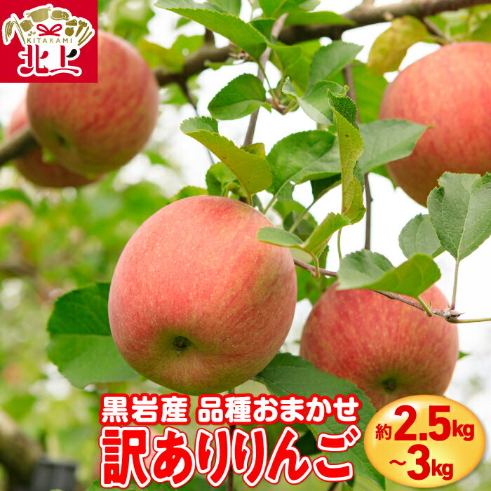 【ふるさと納税】訳あり りんご 約2.5〜 3kg 黒岩産 品種 おまかせ 訳有 国産 岩手 リンゴ 林檎 新鮮 果実 フルーツ 岩手県 北上市 C0605 産地直送 送料無料 くろいわ産地直売所 訳あり 家庭用