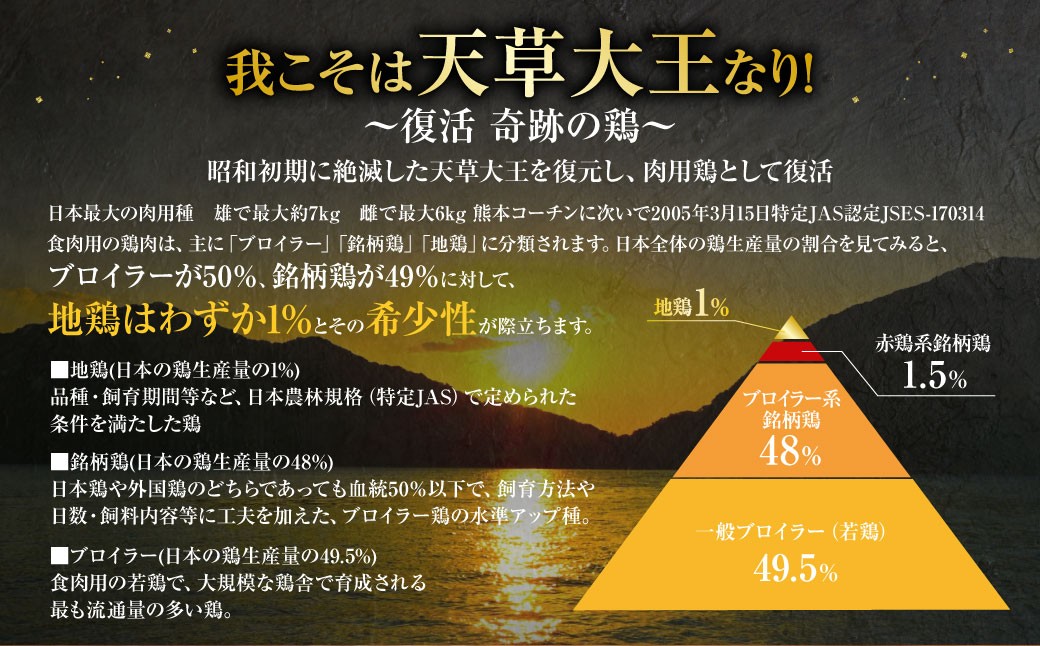 天草大王プレミアムバーベキューセット（大） 計12パック