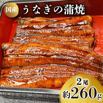 ふるさと納税 下関市 国産 うなぎ の 蒲焼 2尾 約 260g 冷凍 下関 山口 JA003