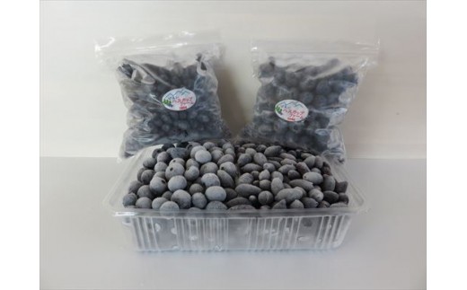 
            冷凍 ハスカップ 500g・冷凍 ブルーベリー 500g | 美瑛ハスカップファーム 美瑛産 | 果物 ハスカップ フルーツ 小分け 熊本 冷凍 ハスカップ 大粒 はすかっぷ 国産[019-67]
          
