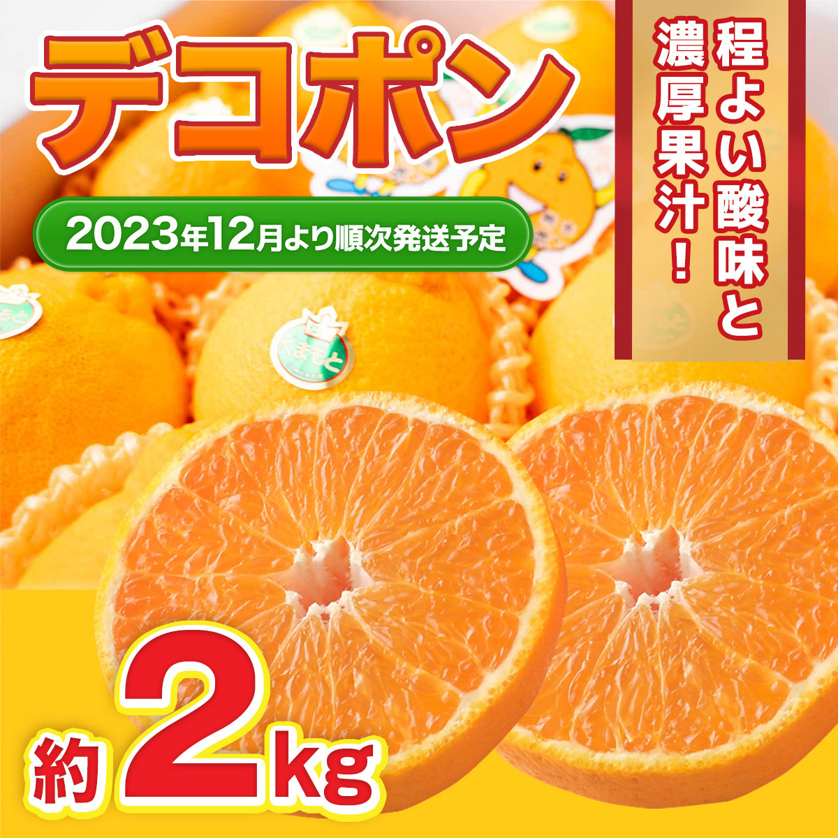 
                  ＜ R8年熊本地震復興支援 ＞デコポン 約2kg 【2026年12月上旬～2027年4月下旬発送予定】
                