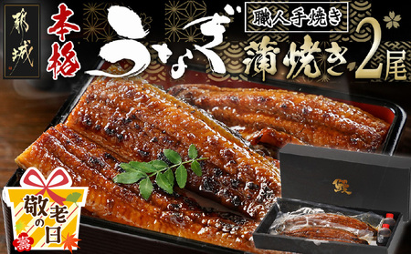 【敬老の日】職人手焼きの本格うなぎ蒲焼き2尾≪9月11日～15日お届け≫_MJ-3305-KG_(都城市) 国産 本格 うなぎ 鰻 蒲焼 宮崎 じっくり 特製タレ 香り豊かな ふっくら 香ばしい