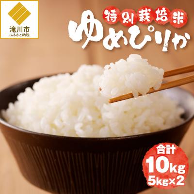ふるさと納税 滝川市 《令和7年産》特別栽培米ゆめぴりか 10kg 特A 減農薬 白米 ブランド米 北海道滝川市