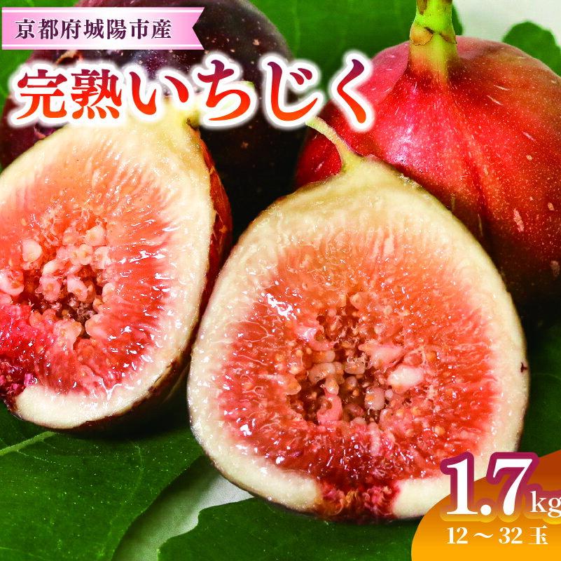 【ふるさと納税】完熟いちじく 約1.7kg (12～32個目安) 5L～Mサイズ【配送不可地域：離島・北海道・沖縄県・東北】【1713246】