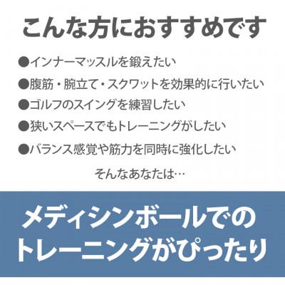 ふるさと納税 吹田市 メディシンボール　5kg |  | 03