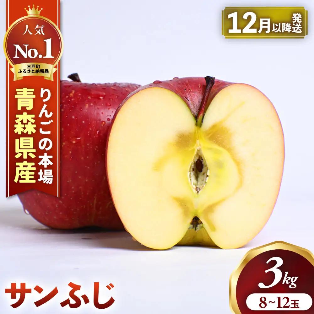 青森県産りんご サンふじ 約3kg 12月中旬～ りんご
