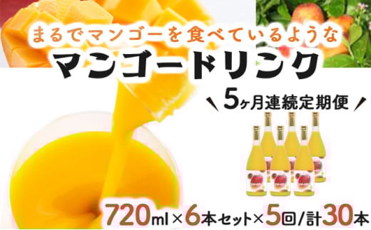 
            G-I4 【定期便・全5回】驚きの果実感！マンゴードリンクセット(720ml×6本)×5回【宮崎果汁】
          