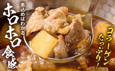 宮崎牛 牛すじ 1kg_M243-017_01