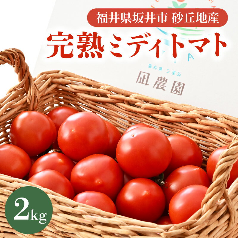 【ふるさと納税】【先行予約】 完熟ミディトマト 2kg 福井県坂井市砂丘地産 農家直送 【2026年6月上旬以降順次発送予定】 とまと トマト ミディトマト 華小町 野菜 生野菜 美容 健康 新鮮 産地直送 国産