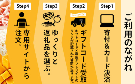 あとからセレクト【ふるさとギフト】3万円分 MN-18 │30000 鹿児島県 南大隅町 あとから選べる 返礼品 特産品 プラン 選べる返礼品 あとから選べる ギフト ギフトポイント 後から選ぶ カタ