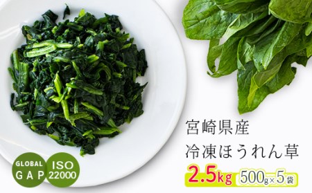 国産『冷凍ほうれん草』2.5kg(500g×5袋)  グローバルGAP取得の法蓮草 TF0477-P00019