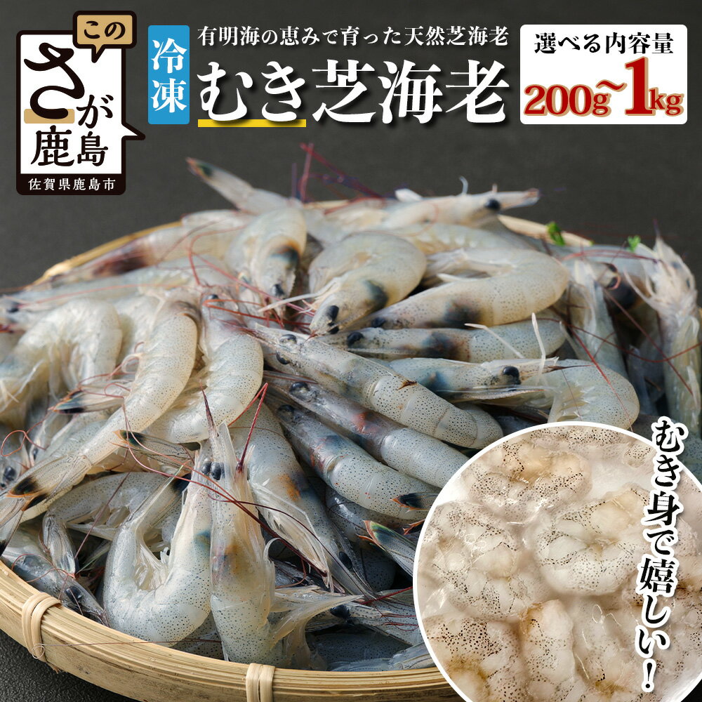 【ふるさと納税】小分け＆むき身で嬉しい！有明海産 芝海老 【冷凍むき身 100g×2・5・10パック】｜海老 エビ 剥き 真海老 国産 加熱用 使い切り 水洗い不要 簡単調理 ストック 手間いらず 主婦の味方 佐賀県鹿島市 人気 送料無料