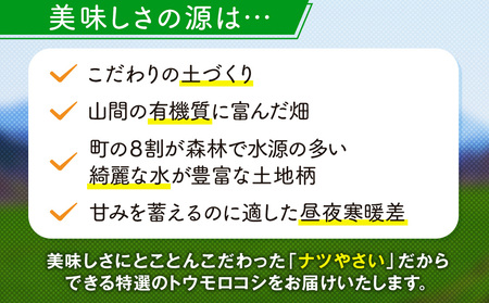 【R7年早期受付】 8月の旬 トウモロコシ 5本から6本 ピンクの八百屋 ナツやさい | とうもろこし トウモロコシ ゴールドラッシュ 旬 新鮮 野菜 夏 甘い 産地直送 北海道 津別町 送料無料 