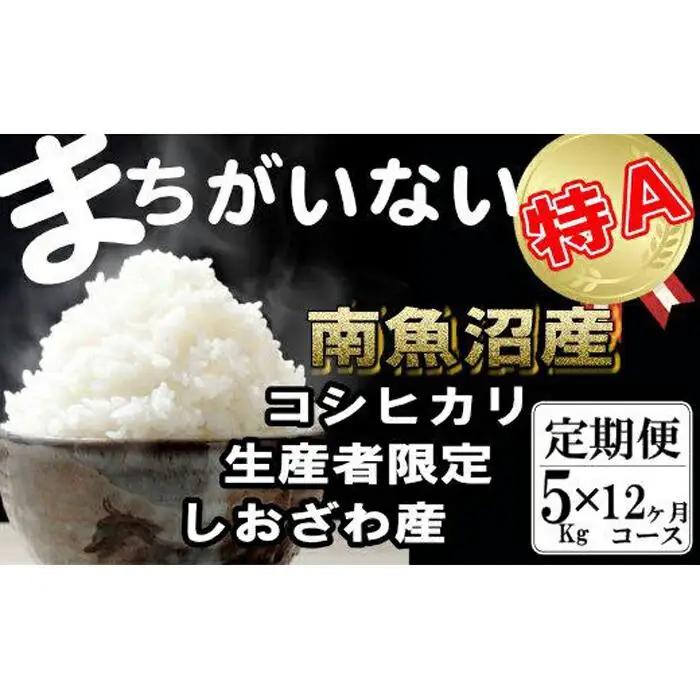 【令和7年産】【定期便】生産者限定 契約栽培　南魚沼しおざわ産コシヒカリ（5Kg×12ヶ月）【定期便 銘柄米 ブランド米 精米 こしひかり コシヒカリ 魚沼産 新潟米 産地直送 お米 米 こめ コメ ご飯 御飯 ごはん】