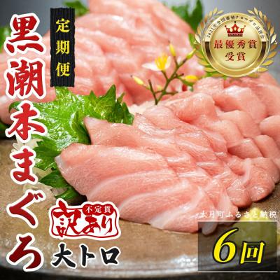 ふるさと納税 大月町 訳あり 不定貫 国産 黒潮本まぐろ 大トロ 定期便 120g×6回