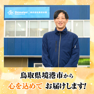 ＜訳あり＞鳥取県産こだわりのアジ開きフライ(30枚/約1.5kg) アジ 冷凍 冷凍食品 惣菜 レトルト おかず 揚げ物 お弁当 【sm-DU002-B】【島谷水産】