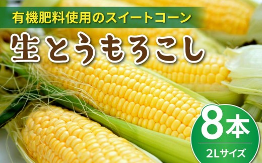 
                  生とうもろこし 2Lサイズ 8本 有機肥料使用のスイートコーン！ 長野県東御市産 ｜天然アロマ工房Pono ※7月上旬から順次発送予定※発送日指定不可
                