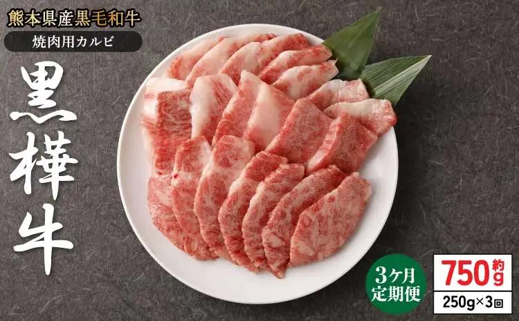 【1ヶ月毎3回定期便】黒毛和牛 黒樺牛 焼肉用カルビ 計約750g (約250g×3回) 杉本本店