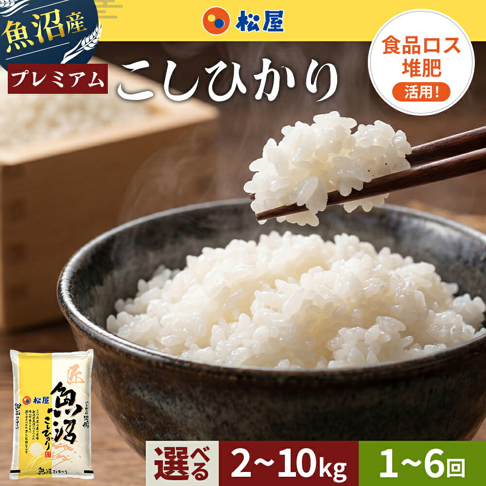 【ふるさと納税】松屋フーズ 最高級 魚沼産コシヒカリ 選べる 2kg 4kg 5kg 10kg 定期便 米 お米 こしひかり コシヒカリ 松屋 精米　お届け：2026年10月下旬から順次発送予定