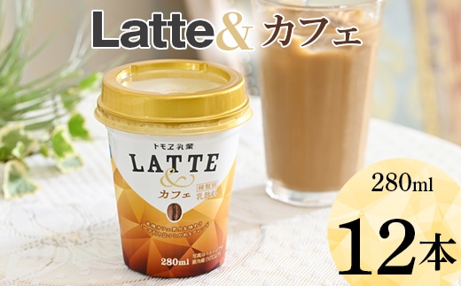 latte&　カフェ　12本 ※着日指定不可 | ラテアンド カフェラテ 珈琲 コーヒー ともえ トモエ トモヱ乳業 牛乳 みるく ミルク 手軽 ギフト 贈答 贈り物 プレゼント お祝 ご褒美 記念品 _DT03