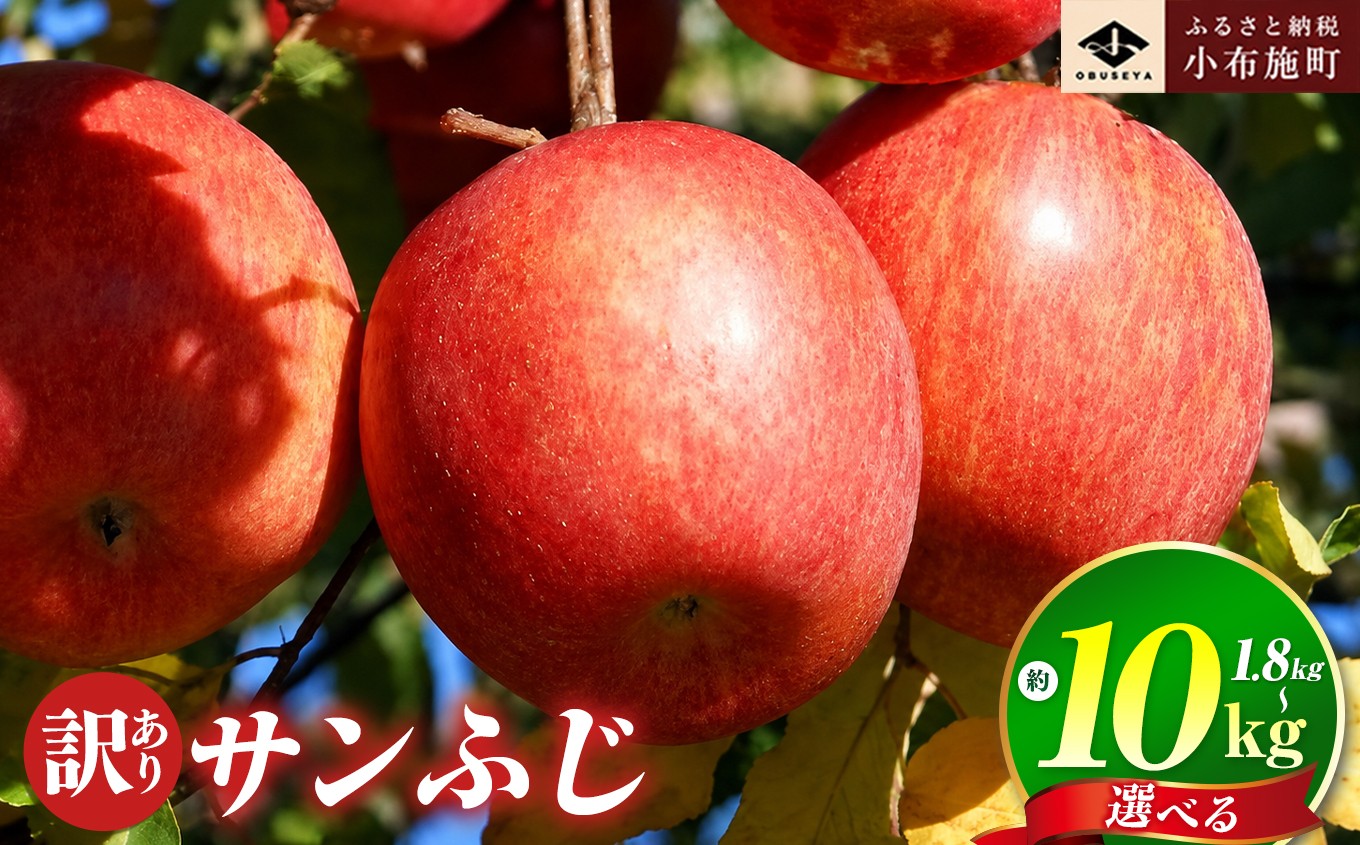 
                  【訳あり】 【先行受付】サンふじ 選べる 内容量 約 1.8kg / 3kg / 5kg / 10kg ［小布施屋］ りんご 林檎 リンゴ 不揃い 規格外 果物 フルーツ 生産者応援 支援 家庭用 長野県産 信州産 小布施町 令和8年産 【2026年11月下旬～2027年3月下旬発送】 ［A-12］
                