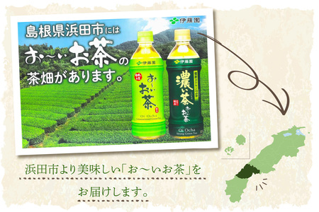 お～いお茶 濃い茶PET 600ml 24本入り×1ケース 飲料 ドリンク お茶 濃茶 ペットボトル 新生活 応援 準備 【114_2073】