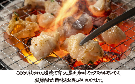 【自社農場和牛】黒毛和牛ミックスホルモン 500g（国産 牛肉 黒毛和牛 ホルモン 焼肉 BBQ 冷凍）