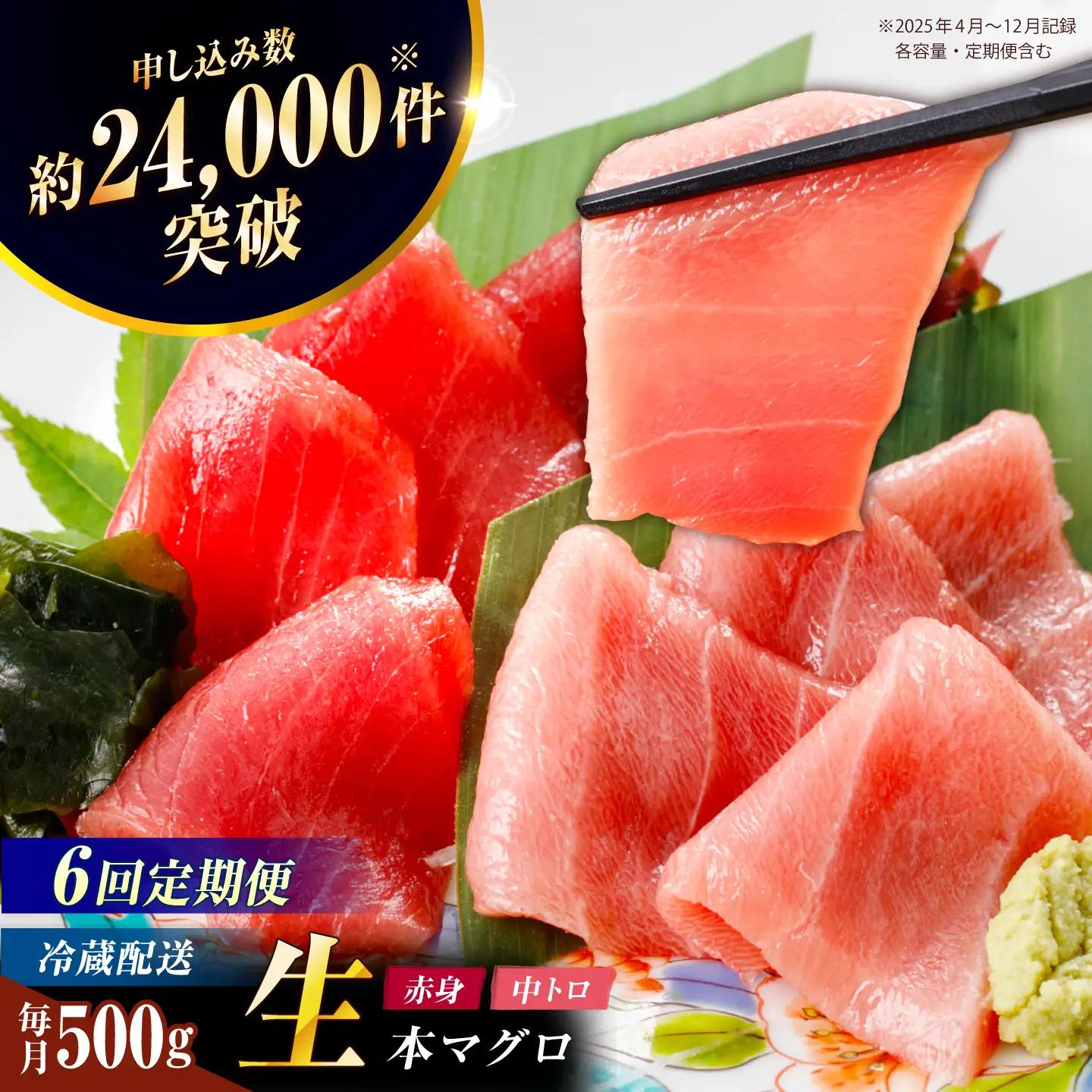【全6回定期便】五島列島産養殖生本かみマグロ 赤身 中トロ 計約500g[RBP030] 本マグロ 本まぐろ 本鮪 本マグロ 本まぐろ 本鮪 本マグロ 本まぐろ 本鮪九州 長崎
