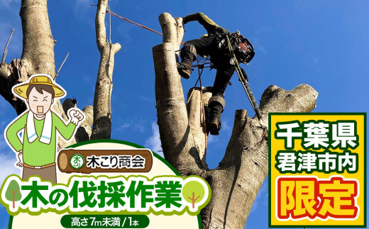 君津市 木の伐採作業（高さ７m未満１本） 木こり商会 | サービス サービス券 伐採 伐採作業 代行サービス 千葉県 君津市 きみつ