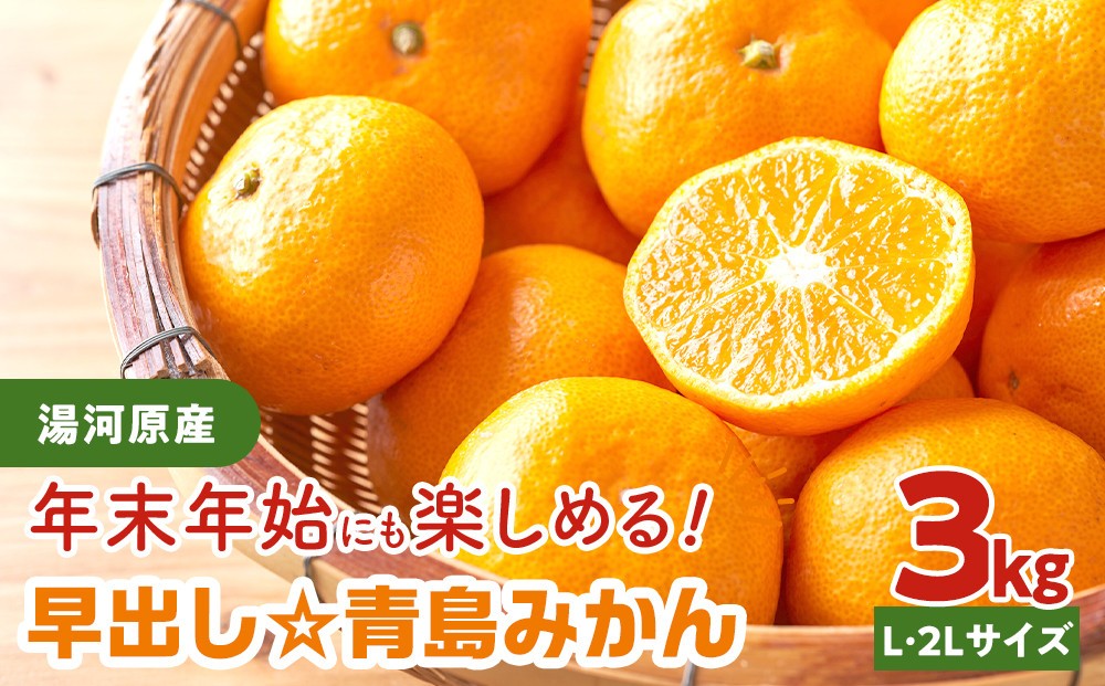 
                  年末年始にも楽しめる　早出し　青島みかん　3kg  | 湯河原町 青島みかん 3kg フルーツ 蔵出し貯蔵 濃厚
                