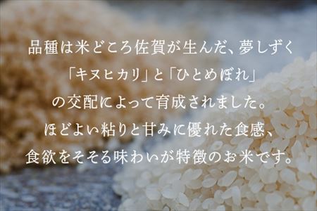 米の食味ランキング3年連続「特A」評価！ 唐津産特別栽培 夢しずく 5kg