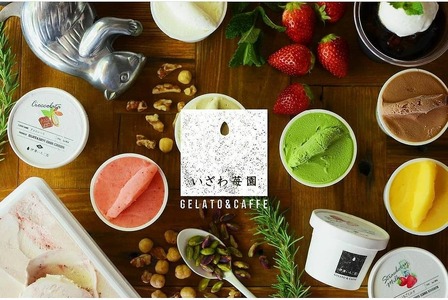 No.102 【下野ブランド】ジェラートアソート12個セット