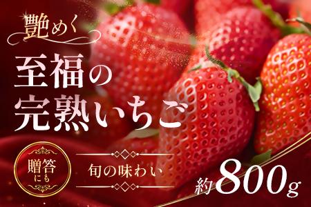 【先行予約 2027年1月中旬以降発送】旬の品種を厳選 至福の完熟いちご 約800g 化粧箱入り【配送不可地域：離島・沖縄県】【1778752】